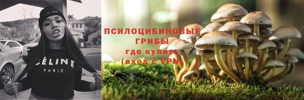 молекула духа Волоколамск