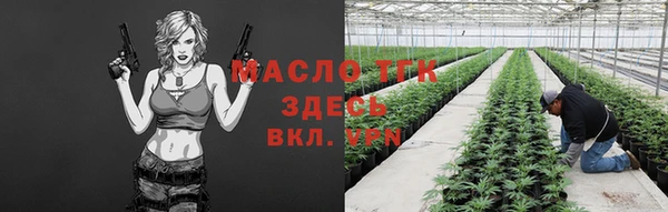 молекула духа Волоколамск