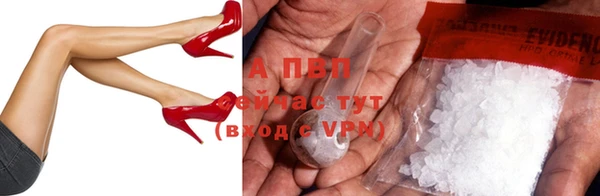 молекула духа Волоколамск