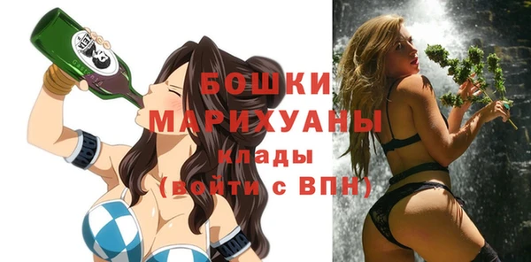 мдпв Володарск