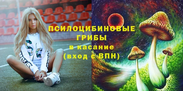 сатива Волосово