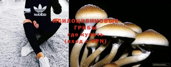 сатива Волосово