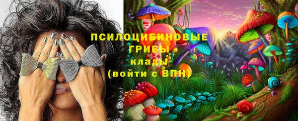 молекула духа Волоколамск