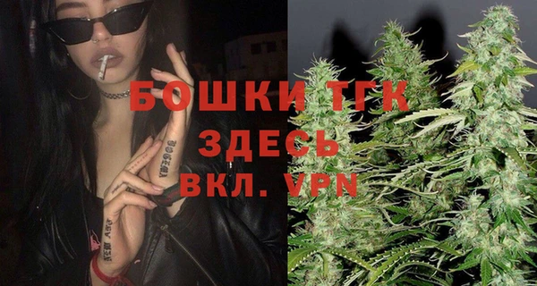 молекула духа Волоколамск