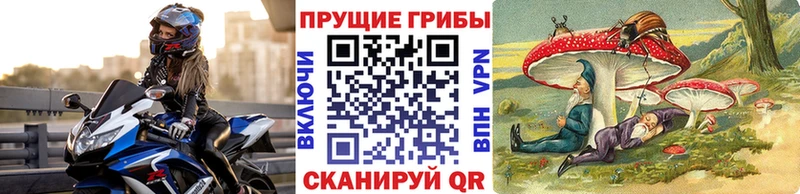 Галлюциногенные грибы Magic Shrooms  Купить  Катав-Ивановск 