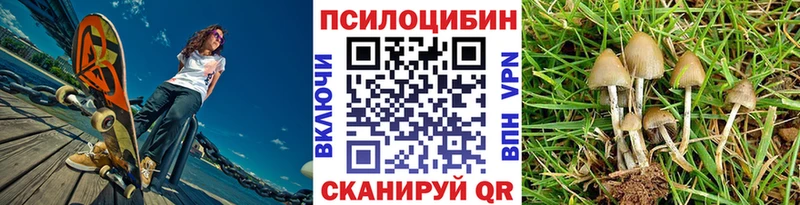 Псилоцибиновые грибы MAGIC MUSHROOMS Катав-Ивановск